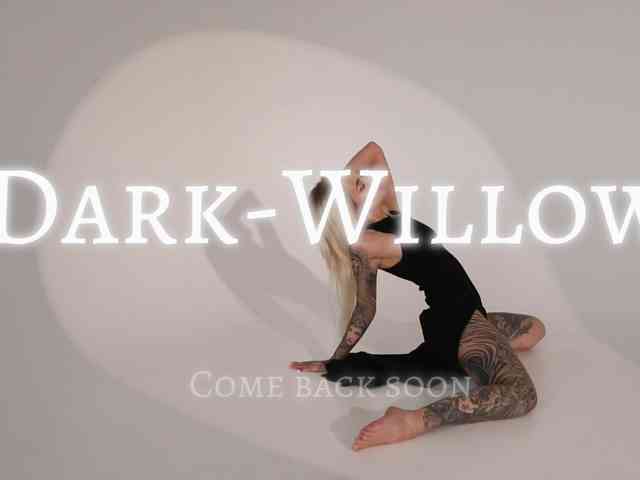 Dark-Willow profile