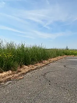 Petrouchkaaa_ masturbation camshow - 02-17-2026